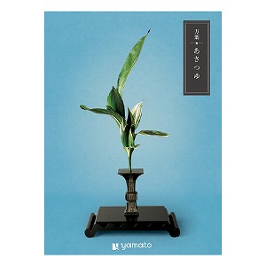 �J�^���O�M�t�g ���t ������